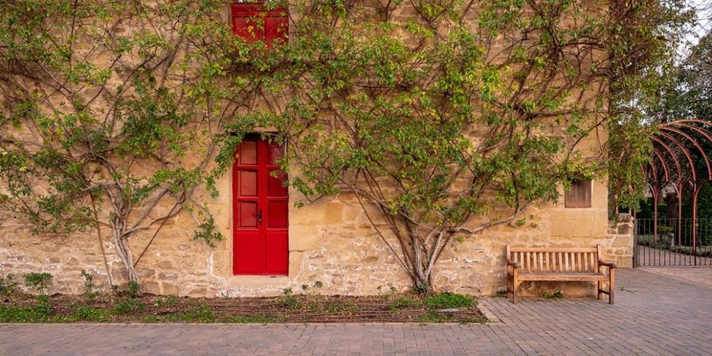 Winery in Spain