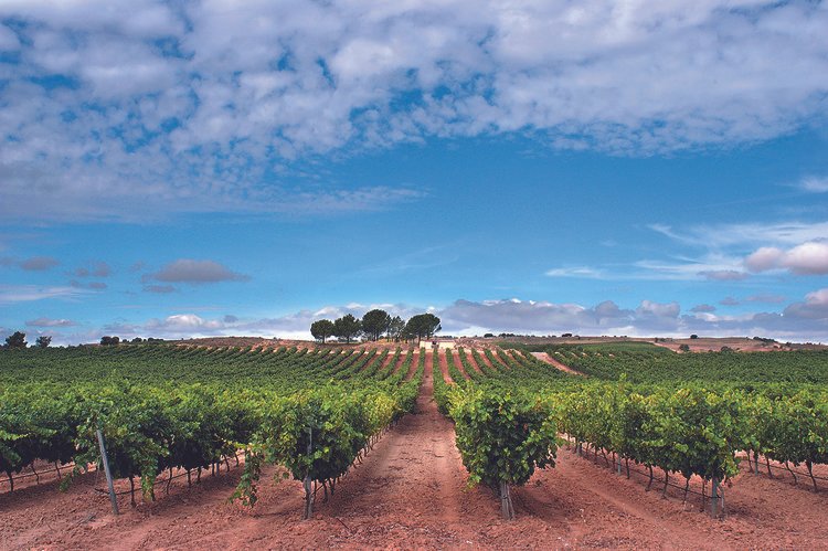 Bodegas Portia