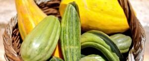 Vegetables of Santorini